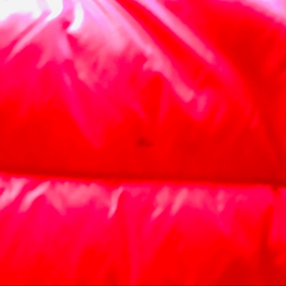 Down Vest - Picture 5 of 6